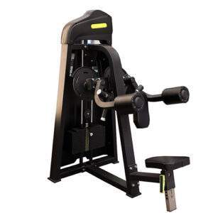 Lateral Raise Machine